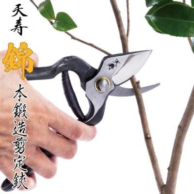 Професионална подрязваща кована ножица Tenju Tsugaru 200 mm
