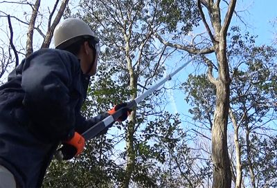 Телескопичен трион Nishigaki N-763 6.5 м 