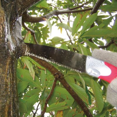 Професионален подрязващ трион 250мм Gyokucho Razorsaw Select 250 Namaki