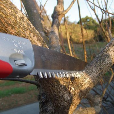 Професионален подрязващ трион 250мм Gyokucho Razorsaw Select 250 Sentei