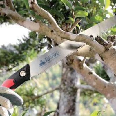 Професионален подрязващ трион 240мм Gyokucho Fugaku Namaki FLG24-A