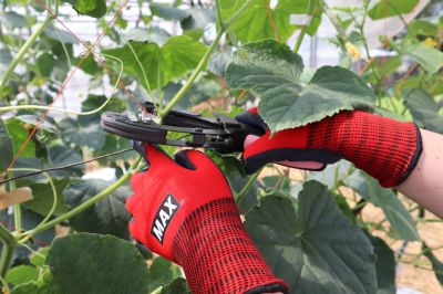 Апарат за връзване MAX Tapener HT-R24C